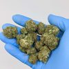 Buy Pineapple Express (AAA) Online at Top Shelf BC