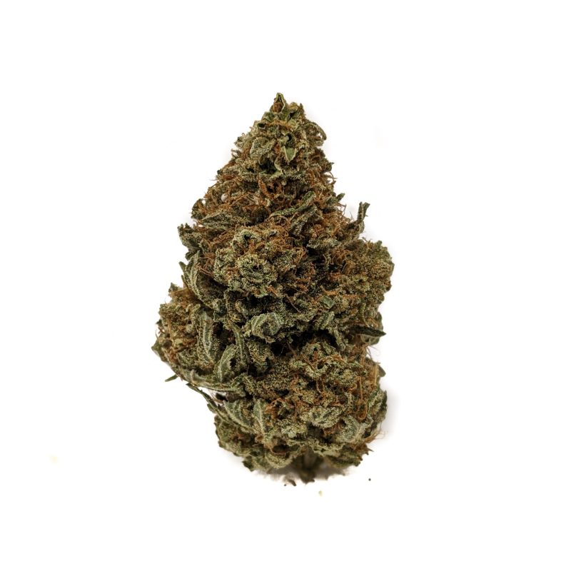 Buy Rockstar (AAA) Online at Top Shelf BC