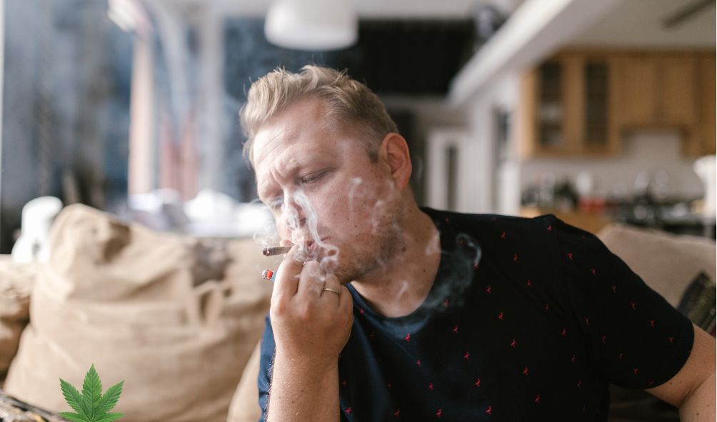 5 Tips for Getting Rid of the Smell of Cannabis