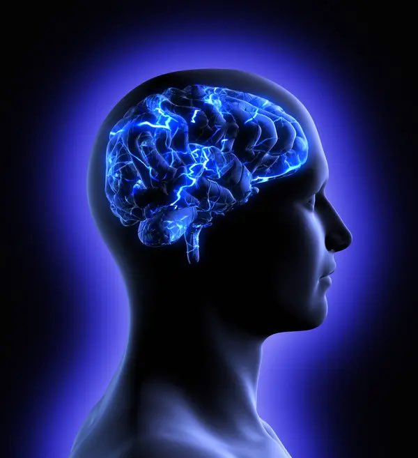 Sativa effects on the brain - experts explain in details