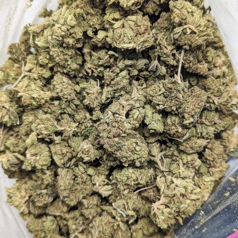 Buy Critical Kush (AA+) Online at Top Shelf BC