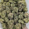 Buy master tuna strain Online at Top Shelf BC