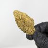 Buy Weed Online | Online Dispensary for Marijuana