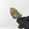 Buy Weed Online | Online Dispensary for Marijuana